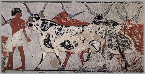 CATTLE THE MOST USEFUL ANIMAL OF ANCIENT EGYPT - food recipes