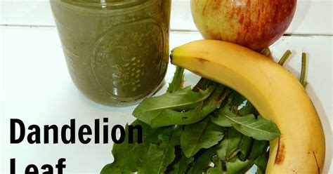 Dandelion Leaf Green Smoothie - Proverbs 31 Woman