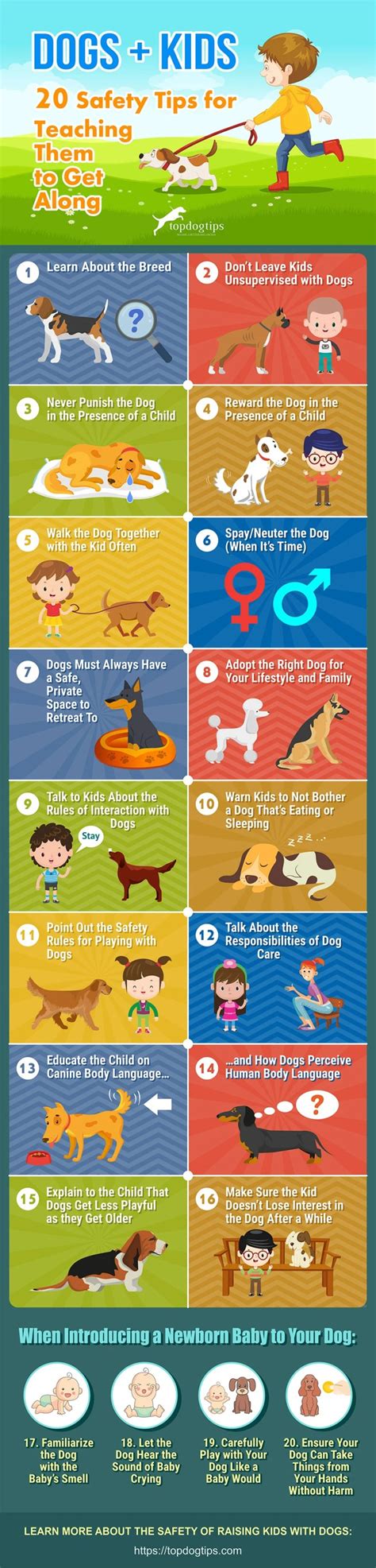 Kids and Dogs: 17 Rules to Keep Them Safe (And Happy)