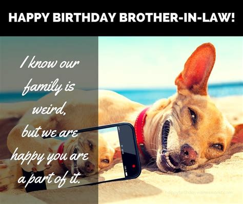 Happy Birthday Brother In Law Funny Pictures | lilacbubbles