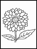 Easy Flower Coloring Pages 14 – Simply sketch template