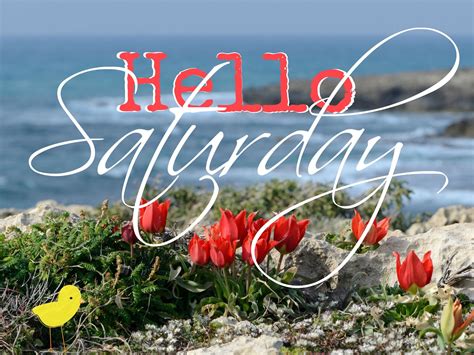 Happy Saturday coastal lovers ~ | Good morning post, Hello saturday ...