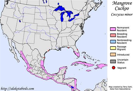 Mangrove Cuckoo - Species Range Map