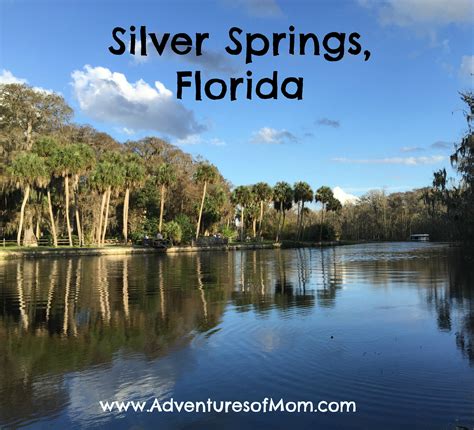 Silver Springs | Adventures of Mom