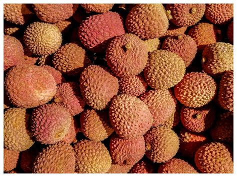 Lychee: Health Benefits And Interesting Recipes | lychee Recipes