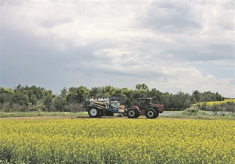 Researcher touts value of shelterbelts to farms | The Western Producer