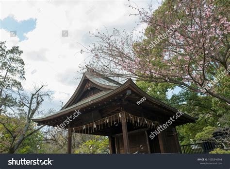 Japan Cherry Blossom Season Shrine Stock Photo 1055346998 | Shutterstock