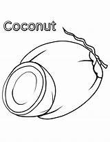 Coconut Pages For Preschoolers Coloring Sketch Page sketch template