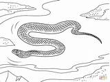Snake Coloring Sea Pages Garter Printable Template Clipartmag Drawing  sketch template