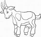 Baby Goat Coloring Pages At GetColoringscom  Free Printable Colorings sketch template