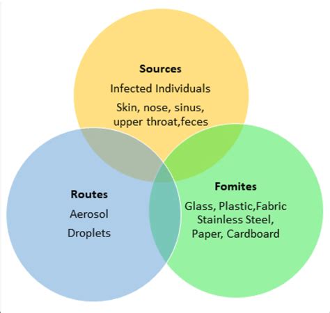 | SARS-CoV-2 contagion overview. | Download Scientific Diagram