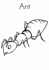 Free Coloring Pages Of Ants sketch template