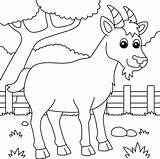 Goat Coloring Page For Kids 5073827 Vector Art At Vecteezy sketch template
