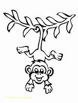 Cartoon Monkey Coloring Pages At GetColoringscom  Free Printable sketch template