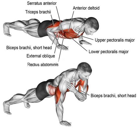 PUSH UPS VARIATION | GUIDE