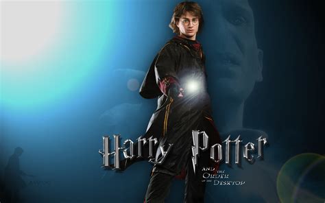 Harry Potter and Voldemort - Harry Potter and Lord Voldemort Wallpaper (7767861) - Fanpop - Page 13