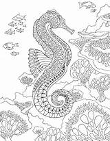 Seahorse Coloring Pages Printable sketch template
