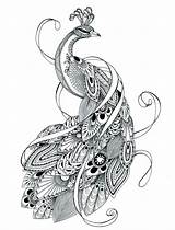 Free Printable Peacock Coloring Pages For Kids sketch template