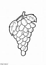 Grapes Fruits coloring Page sketch template
