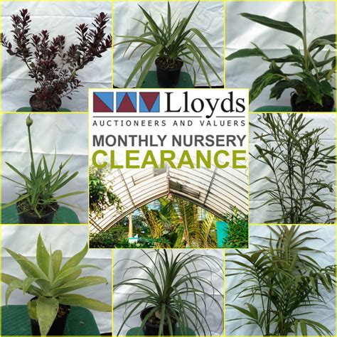 HUGE ONCE A MONTH SAVINGS! Healthy, thriving plants ready for your garden. View all & bidding ...