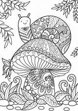 Mushroom Coloring Pages For Adults sketch template