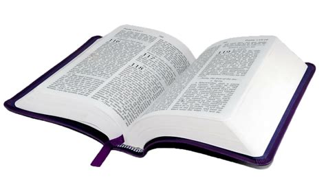 Download High Quality Bible Clipart Transparent Backg - vrogue.co