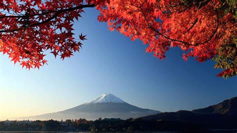 Download The beauty of Fujisan in Japan Wallpaper | Wallpapers.com