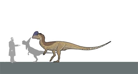 Dilophosaurus Size Comparison