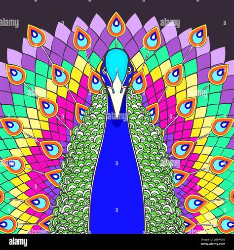 Peacock with flowing tail colorful cartoon drawing, front view ...