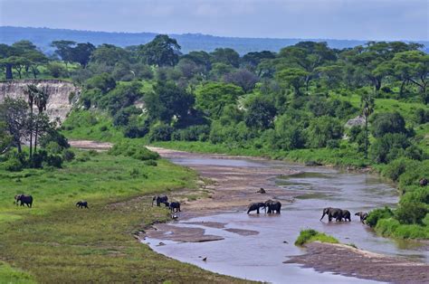 Tarangire National Park - Luxury Safaris Tanzania