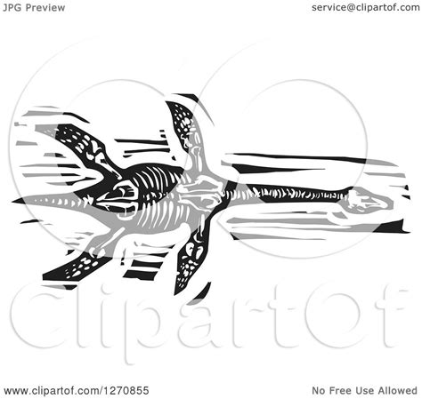 Clipart of a Black and White Woodcut Pliosaur Skeleton - Royalty Free Vector Illustration by ...