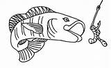 35 Fishing Lure Coloring Pages Ideas  coloring lure lures sketch template