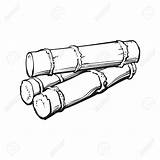 Sugar Cane Drawing At GetDrawings  Free Download sketch template