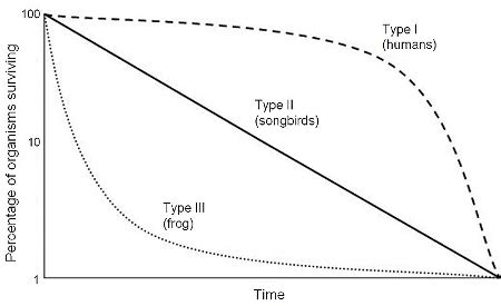 Survivorship Curve Types & Examples | What is a Survivorship Curve? - Video & Lesson Transcript ...