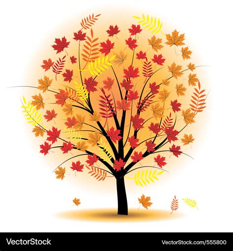 Beautiful autumn tree Royalty Free Vector Image