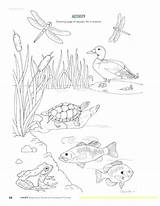 Printable Pond Animals sketch template