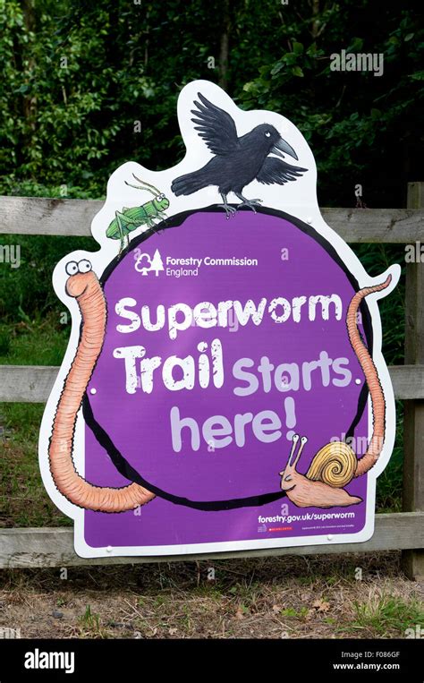 Superworm trail hi-res stock photography and images - Alamy