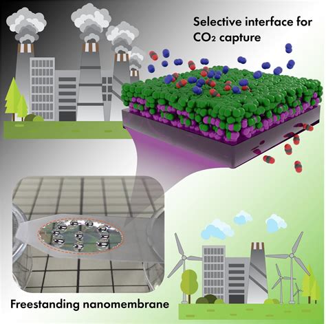 CO2 Capture Membrane [IMAGE] | EurekAlert! Science News Releases