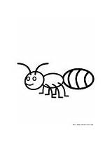 Printable Zebra preschool coloring Page For KidsFree Kids Coloring sketch template