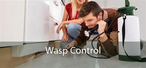 Wasp Control - Local Wasp Control