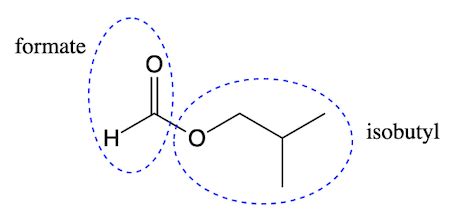 Draw the structure of isobutyl formate. | Homework.Study.com