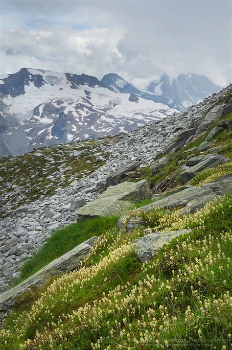 Selkirk Mountains British Columbia | Alan Majchrowicz Photography | British columbia, Canada ...