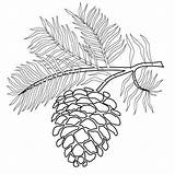 Image Result For Christmas Wood burning Patterns  Pyrography sketch template
