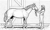 Thoroughbred Horse Coloring Page  Subeloa11 sketch template