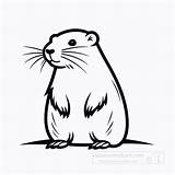 Animal Outline Clipart Nutria Black coloring clip Art sketch template
