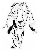 Boer Goat Coloring Pages  Contributed By goats Farm Animals sketch template