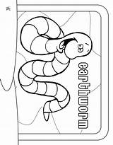 Earthworm coloring page  Animals Town color Sheet sketch template