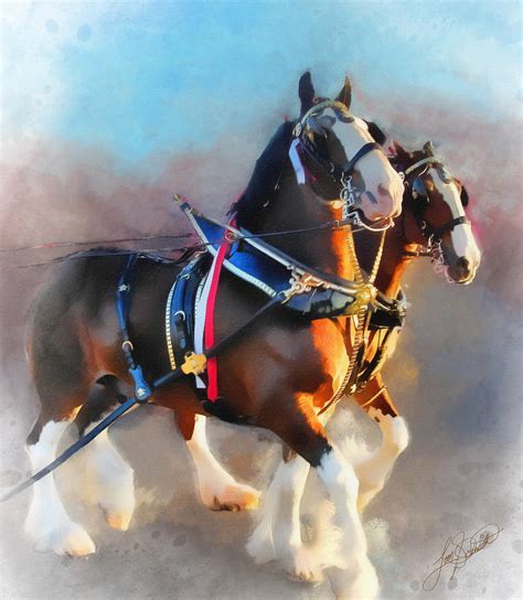 Clydesdales Painting by Tom Schmidt - Pixels