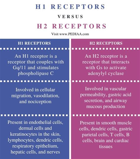 What is the Difference Between H1 and H2 Receptors - Pediaa.Com