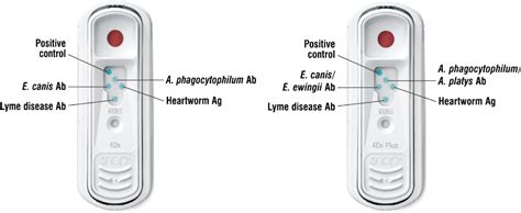 Figure 2 from Immunoassay Applications in Veterinary Diagnostics | Semantic Scholar